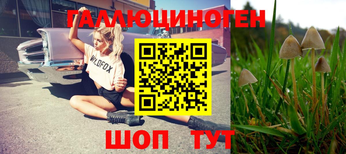 Абакан  Галлюциногенные грибы Cubensis  Вход с VPN  Псилоцибиновые грибы GOLDEN TEACHER 